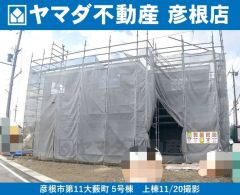 11/20撮影