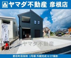 8/27撮影